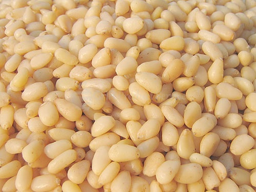 Pine nut