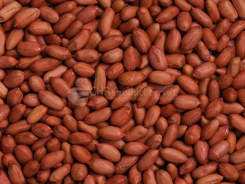 Peanut (peeled, not roasted)