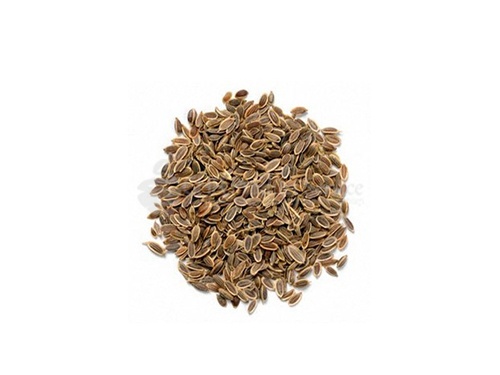 Fennel seed