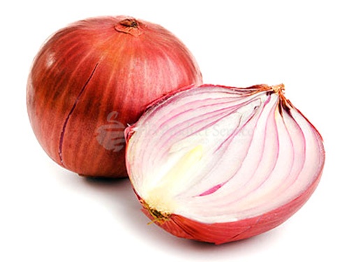 Onion (red)