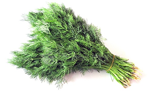 Dill