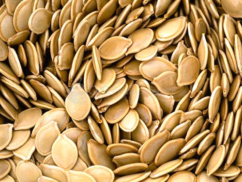 Pumpkin seeds