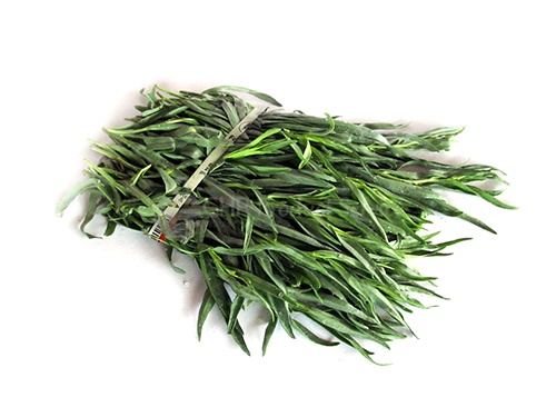 Tarragon