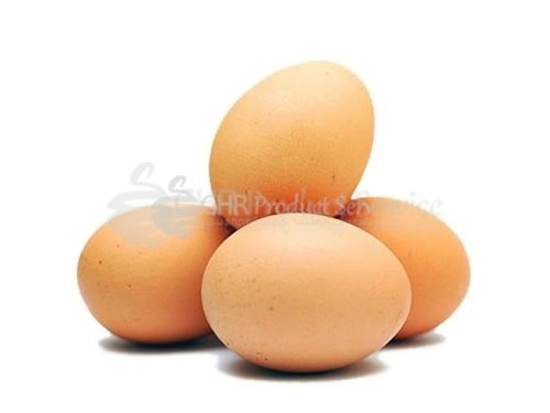 Egg #02