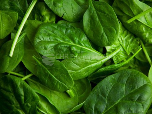 Spinach