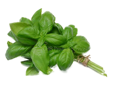 Basil 100g