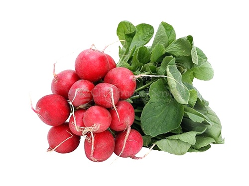 Radish