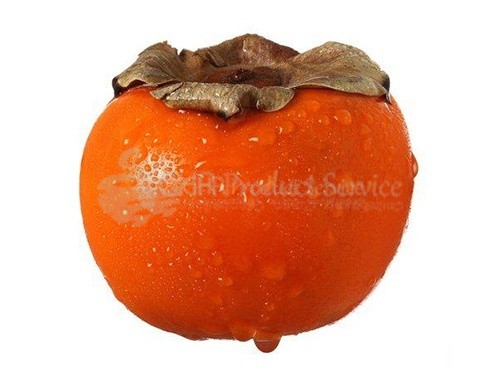 Persimmon