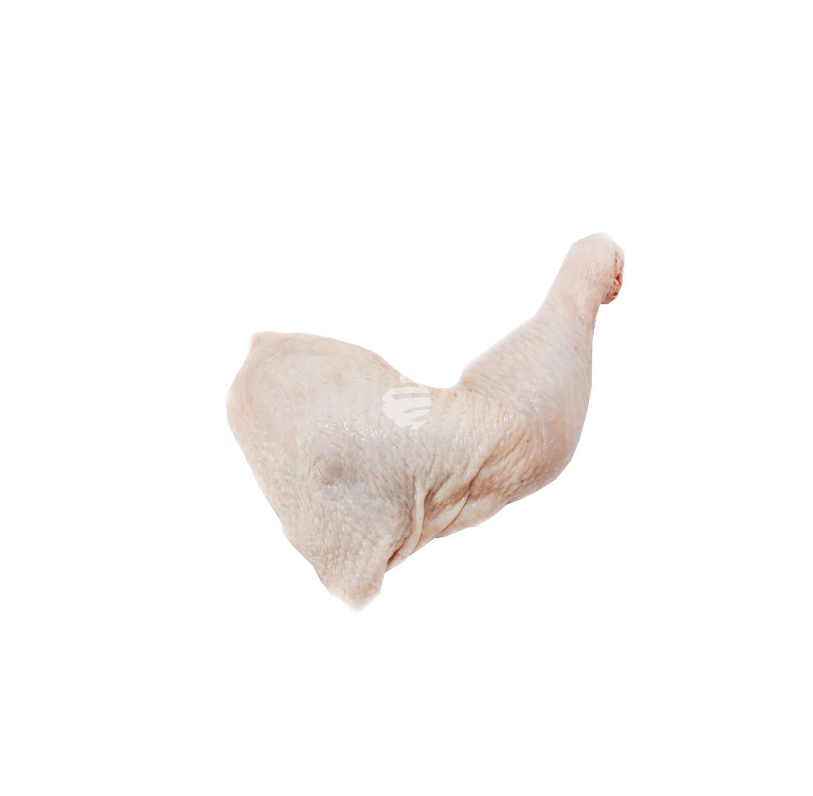 Chicken leg