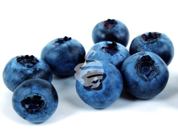 Blueberries 125 gr