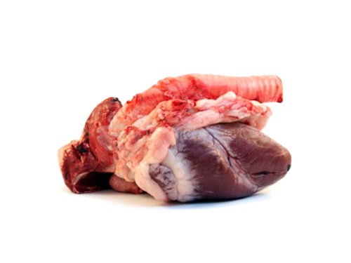 Lamb heart,lung