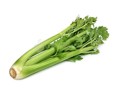 Celery