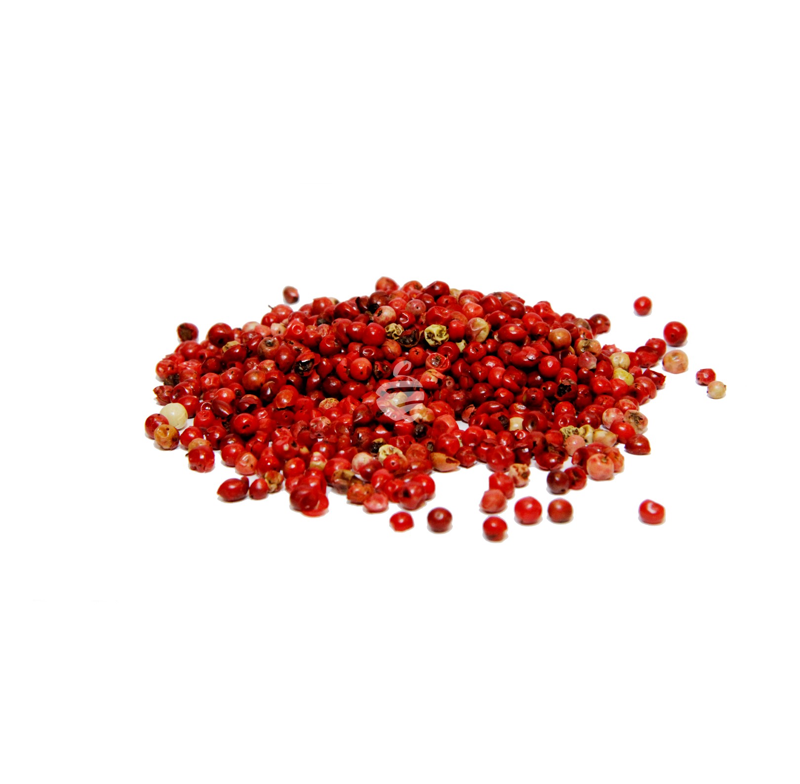 Pepper red (seed)