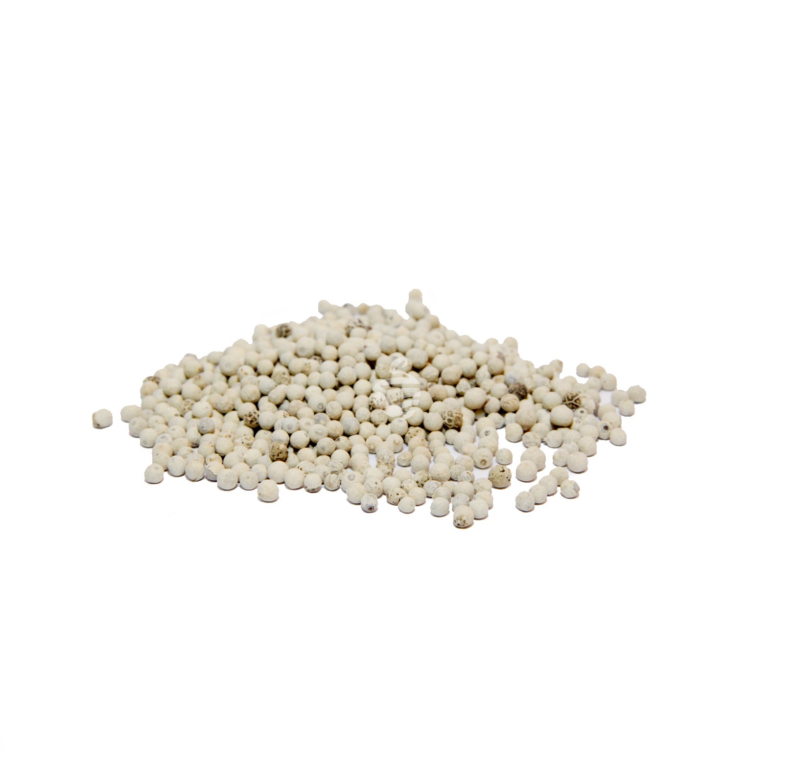 Pepper white (seed)