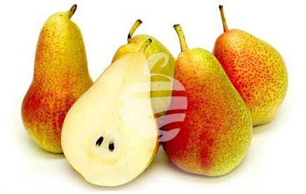 Pear chinese