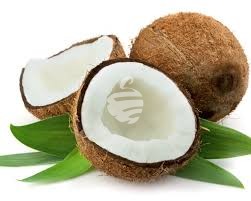 Coconut