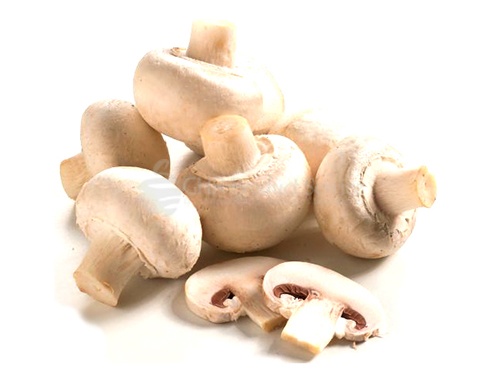 Champignons (small)