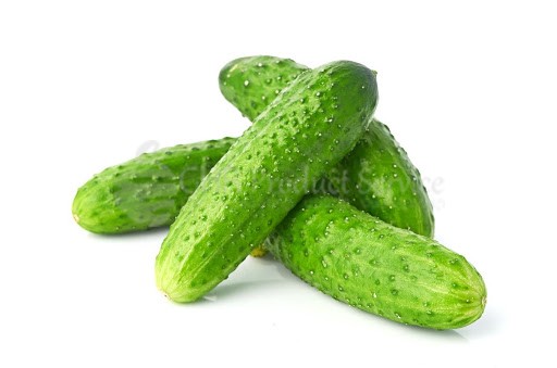 Cucumber russian