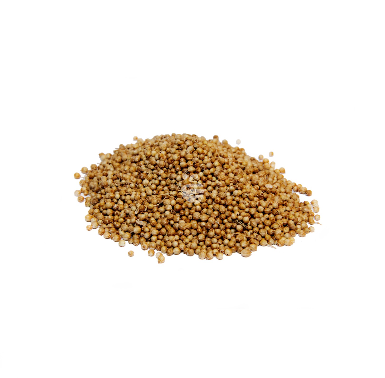 Coriander seed