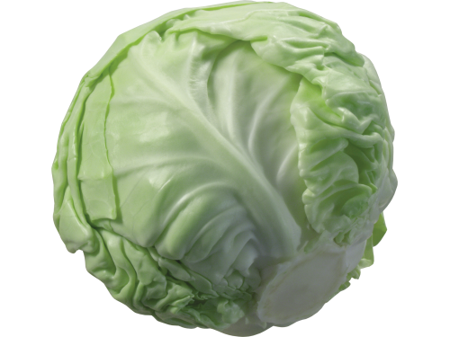 Cabbage