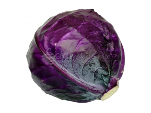 Cabbage red