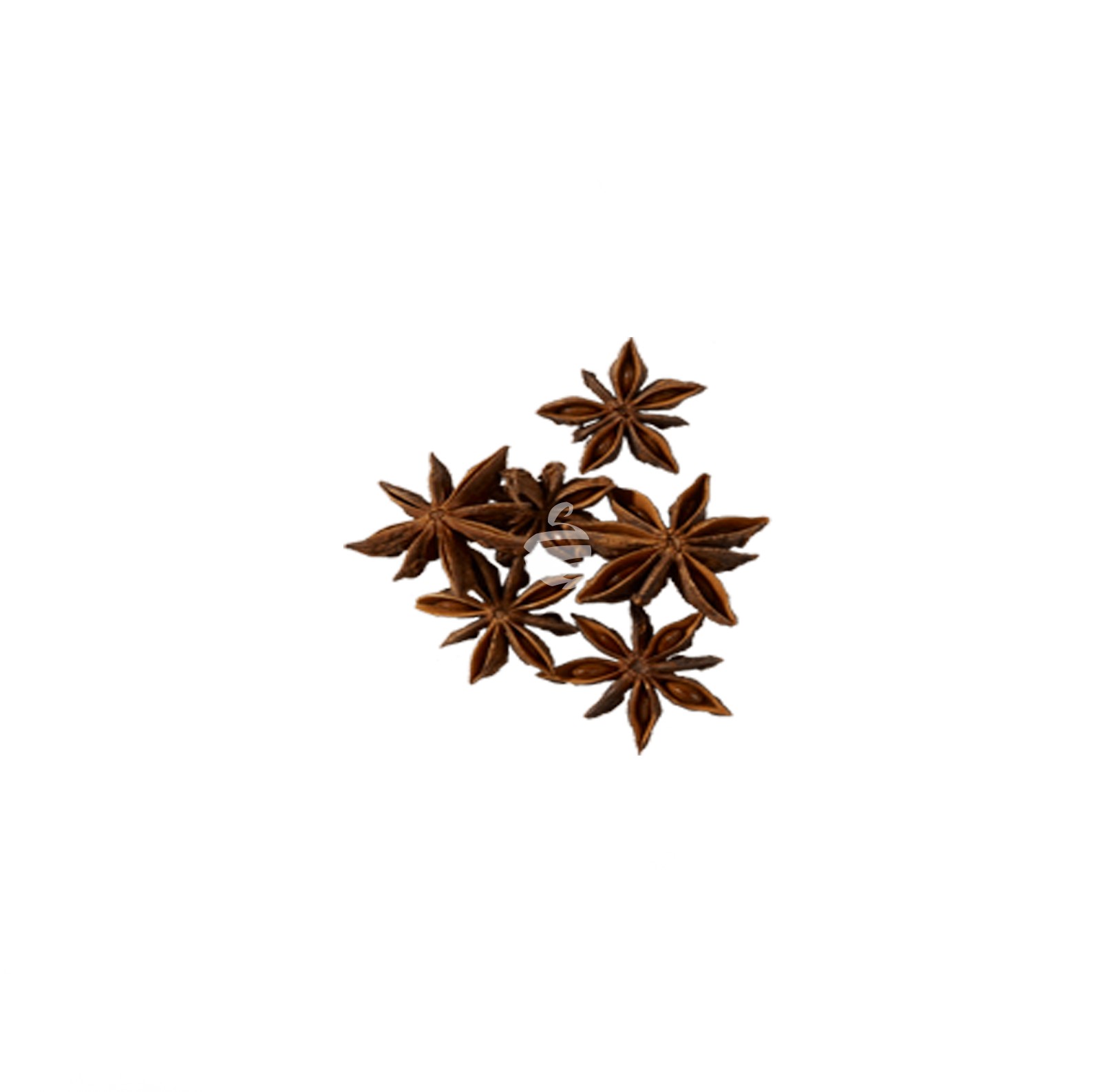 Anise