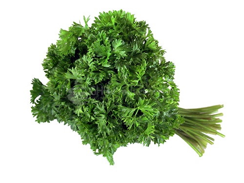 Parsley curly