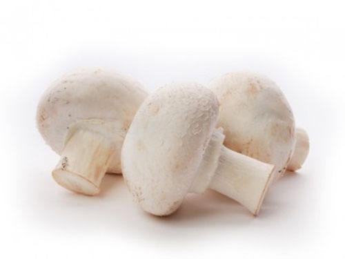 Champignons (medium)