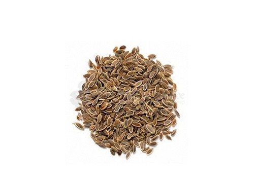 Fennel seed0