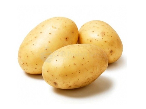 Potato big