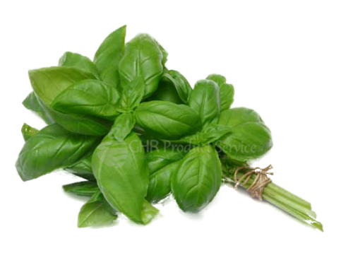 Basil 100g0