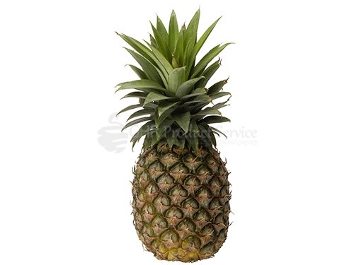 Pineapple0