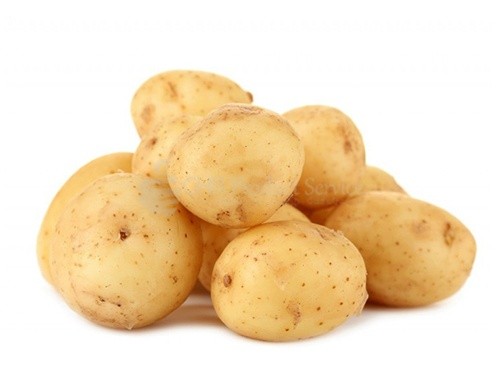 Potato medium