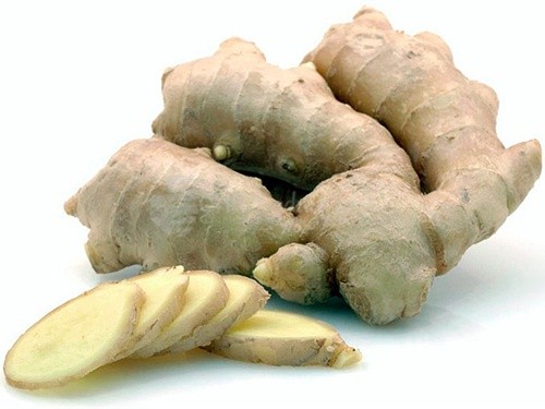 Ginger fresh0