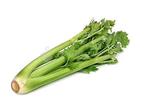 Celery0