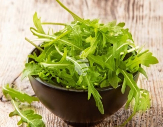 Rucola  100 gr0