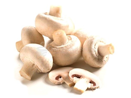 Champignons (small)0