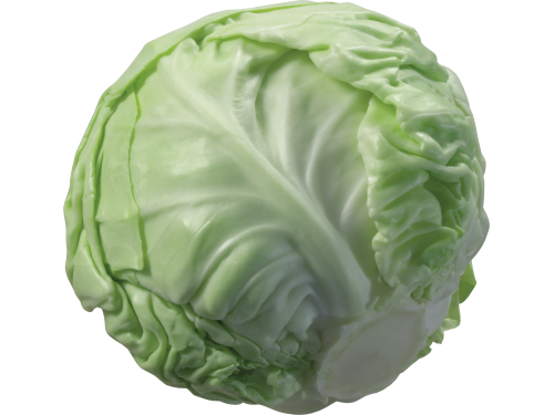 Cabbage0