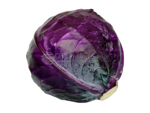 Cabbage red0